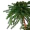4ft. & 6ft. Pre-Lit Dual Artificial Outdoor Palm Christmas Tree, Multicolor Lights